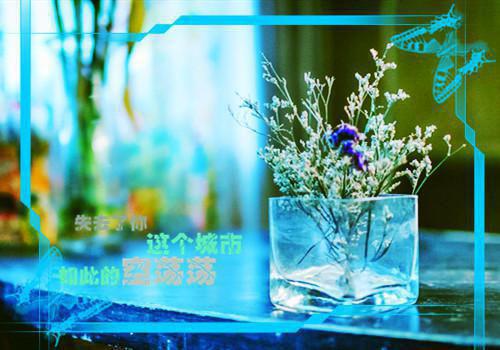 陈离霍清越祝小云免费全文无弹窗 我被卡车迎面撞死的时候，老公却在陪闺蜜听演唱会小说在线阅读