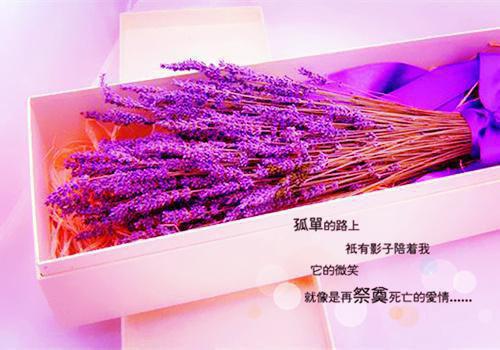 （江榆陆宴辞）陆宴辞江榆无弹窗免费阅读江榆陆宴辞大结局无删阅读