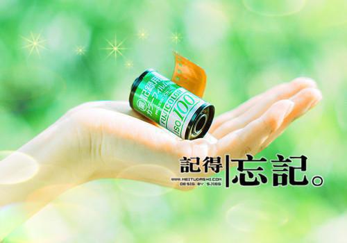 宜修胤禛免费小说 宜修胤禛完结版在线阅读