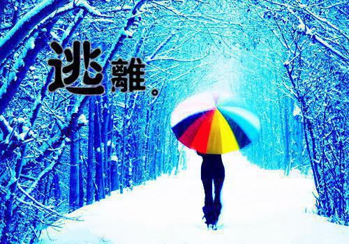 沈河柳如烟季博达的小说 沈河柳如烟季博达全文免费阅读