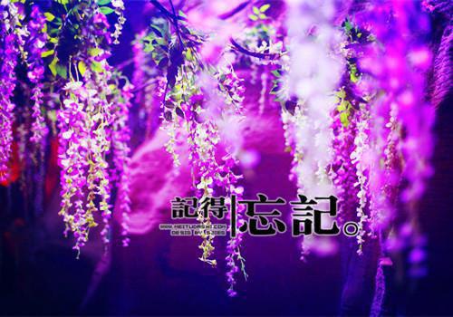 沈荡赵玉兰最新章节免费 沈荡赵玉兰第10章在线阅读