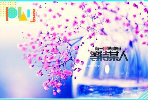 被老公一家人背叛后，我杀疯了小说 被老公一家人背叛后，我杀疯了孙桂芳