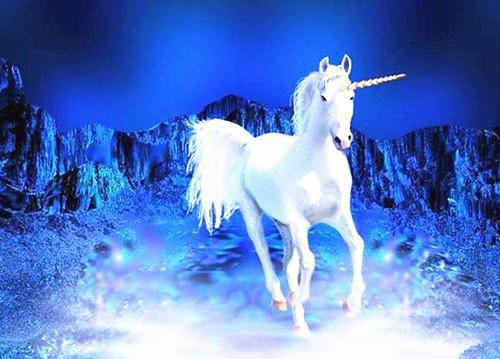 陆青阳杨宇免费小说 陆青阳杨宇全文阅读目录