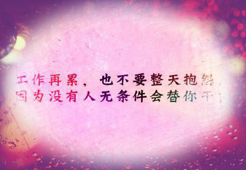 错付五年为时不晚(结局) 沈婉顾恒许岩薛杨免费阅读全文