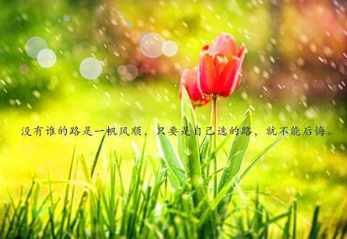 褚清思孟衡渊小说在线阅读 褚清思孟衡渊最新章节目录