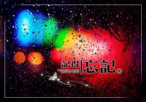 傅临洲沈南桥宋知言是什么小说 傅临洲沈南桥宋知言全本免费阅读