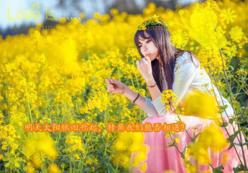 林晚星白翊全文阅读 林晚星白翊小说最新章节