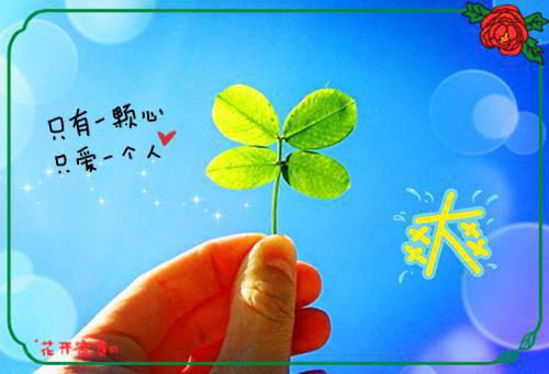 经典小说《起死回生的初恋》江怡顾辰全文免费阅读