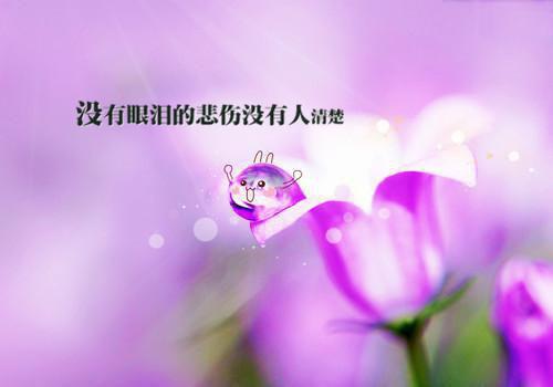 陆轩卿飞虹小说叫什么 陆轩卿飞虹小说全文免费阅读