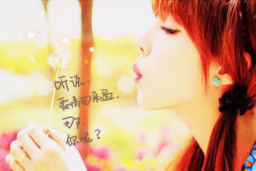 郑薇温许许徐志文小说叫什么 郑薇温许许徐志文小说全文免费阅读