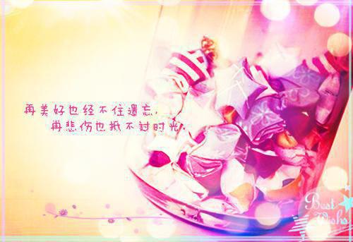 教我学乖后，宋总请自重白玉宋言白锦汐无广告在线阅读全文