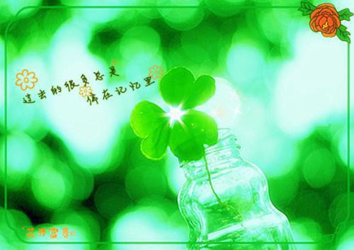 苏沐宋时安柳晴免费阅读 苏沐宋时安柳晴最新章节目录