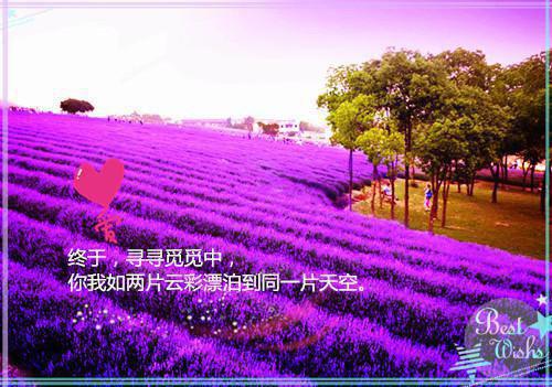 江岁好靳言第7章 江岁好靳言小说免费阅读