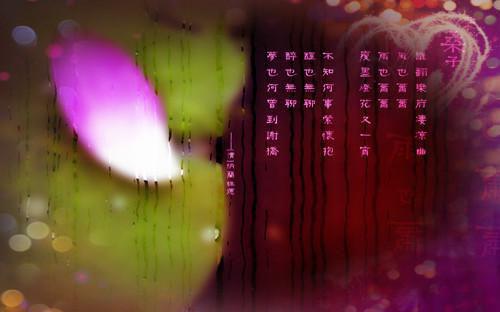 顾景舟苏清冉傅明川小说章节免费阅读 顾景舟苏清冉傅明川无弹窗