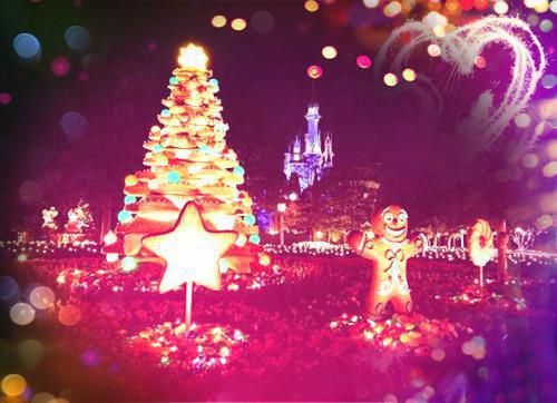 主角周浩杨丽小说免费阅读最新章节