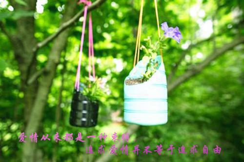 重生回到闺蜜借种生子那天一趟云 林青陈萍蒋易小说