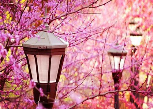 （热推新书）顾霆舟骆清涵完整版免费小说无弹窗阅读_顾霆舟骆清涵最新章节列表（骆清涵顾霆舟）