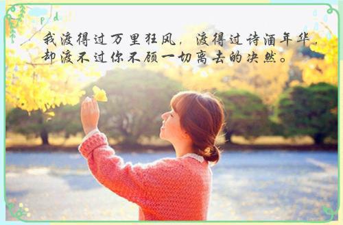 主角盛听澜崔墨白小说免费阅读最新章节