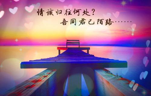 (完整版)秦诗沈阅小说免费阅读无广告