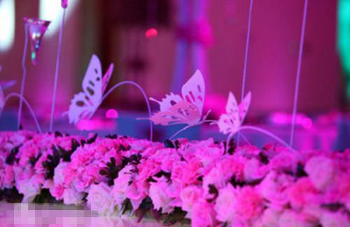 宋夏晚季亦欣何青青小说免费阅读最新 我被大火烧死，妈妈在唱生日歌完整版