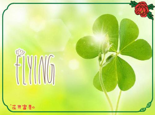 徐嘉傅函深全文免费阅读（青兰京城小说）全文免费徐嘉傅函深读无弹窗大结局_徐嘉傅函深全文免费徐嘉傅函深读（青兰京城小说）最新章节列表（徐嘉傅函深）