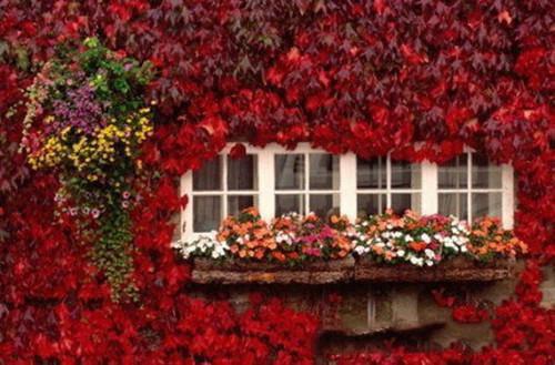 曦虞炁无全文阅读最新 曦虞炁无小说目录