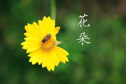 方随沈辞小说目录 方随沈辞完整免费版阅读