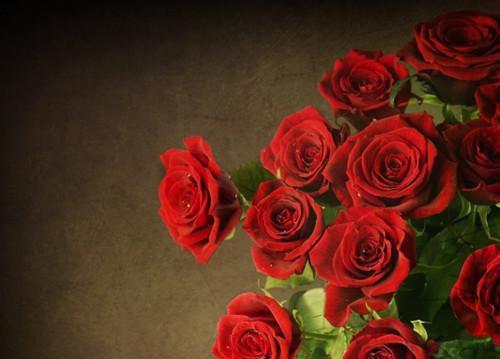 薛宜宁秦时越免费阅读目录 薛宜宁秦时越小说全文