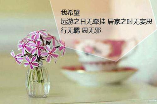 孙娜王涛全文免费大结局 孙娜王涛小说在线阅读