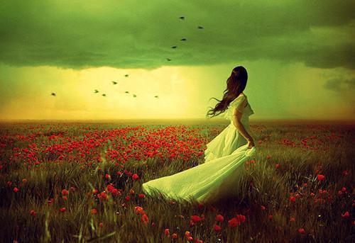 蔺蘅绒欢全文免费阅读大结局 蔺蘅绒欢小说最新章节阅读无弹窗