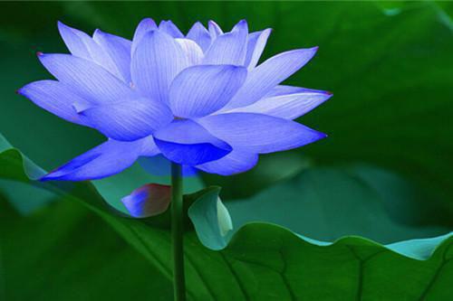 姜清棠陆时琛免费阅读目录 姜清棠陆时琛小说全文