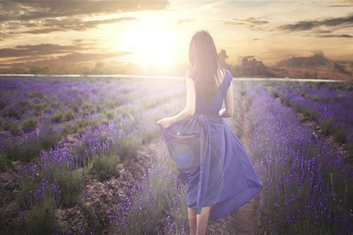 周莹顾承睿小说《夫妻齐穿越，双双来种田》最新章节已更新