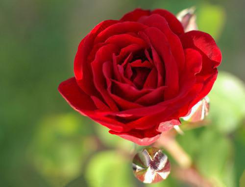 郭逍遥张婉清小说免费试读 郭逍遥张婉清第7章