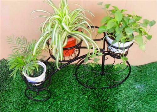 我捡到的那条龙有点撩最后一章在线阅读 云尽陶夭夭全文小说完整版