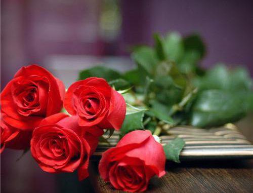 《沈妤李时域陈淮小说》无弹窗全文免费阅读