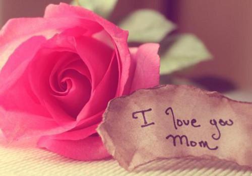 云妩阿努斯小说（云妩阿努斯）最新章节阅读-云妩阿努斯（云妩阿努斯）免费阅读无弹窗大结局