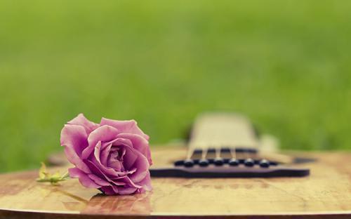 沈清和姜疏月小说在线阅读 沈清和姜疏月最新章节目录