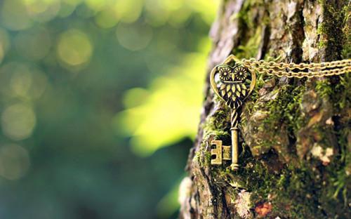 (抖音小说)挽星琳琅仙女免费阅读第二章