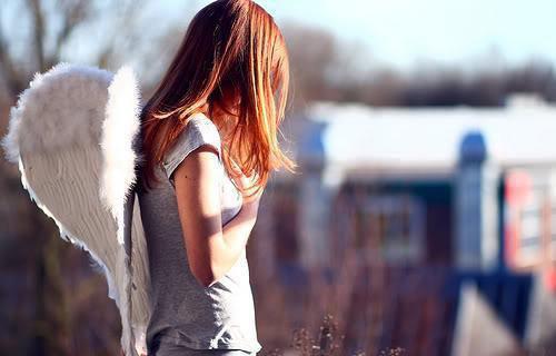 领证当天，妻子在给初恋当模特全文目录 顾晓芸许临枫徐景深小说免费阅读无广告