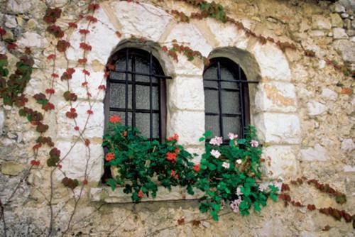 彩票中奖后她囤满物资到古代种田小说（李溪祝青山）全文免费阅读无弹窗大结局_（李溪祝青山）彩票中奖后她囤满物资到古代种田小说无弹窗精彩阅读