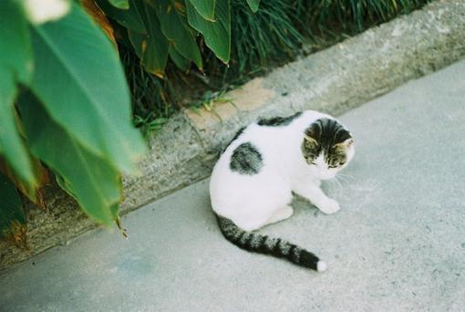 唐雪黎述免费小说 唐雪黎述全文阅读目录