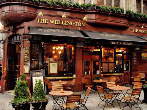 闻姝江逾声小说章节目录 闻姝江逾声免费阅读第10章