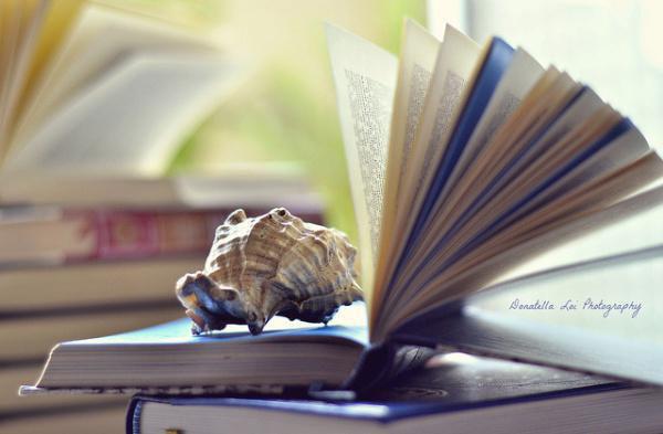 温如意陈长清姜瑶《闺蜜换走我的锦鲤富贵命后》小说在线阅读