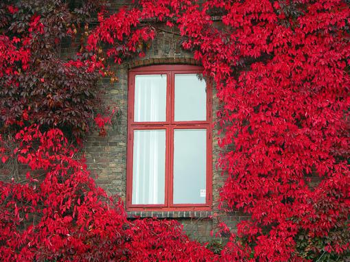 赵净远茉莉夏子苓免费阅读无弹窗 赵净远茉莉夏子苓最新章节