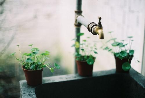 逃离新太阳游乐场在线阅读全文 霍恬陈桉小说最新章节