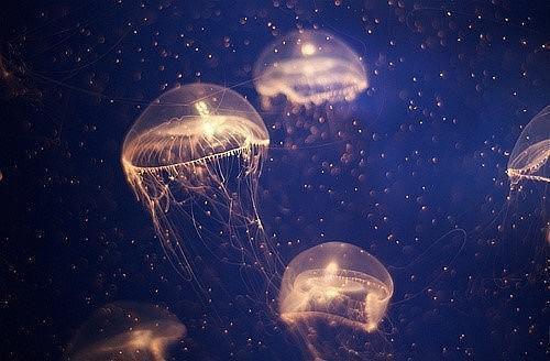 许思怡裴时琛是什么小说-许思怡裴时琛全文免费阅读无弹窗大结局(许思怡裴时琛)最新章节阅读