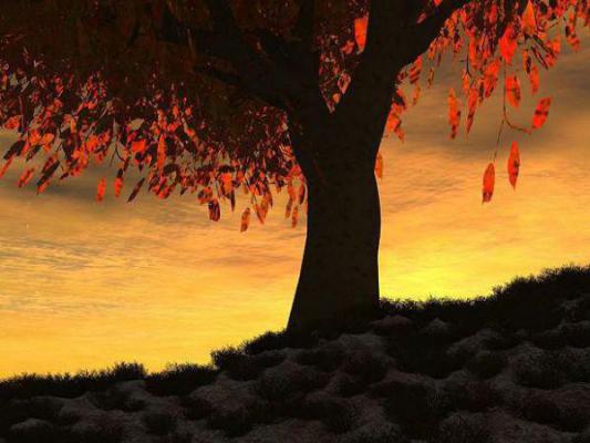 温逸晨林洛温明旭免费阅读小说 温逸晨林洛温明旭第3章