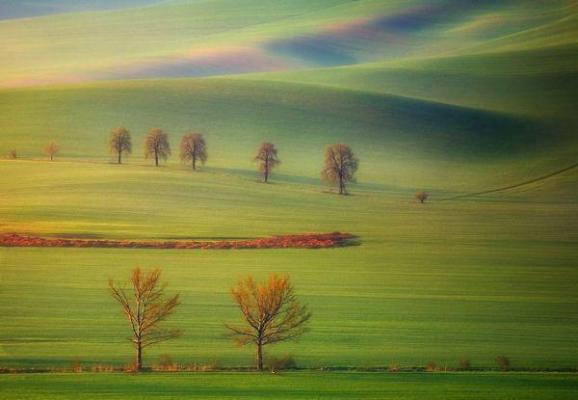 何惜卿盛君安免费阅读小说 何惜卿盛君安