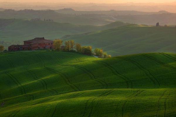 全本榜单畅读 我死后，冷血王爷哭红了双眼（白钟灵季元祁）最新章节列表_全本榜单畅读 我死后，冷血王爷哭红了双眼全文阅读