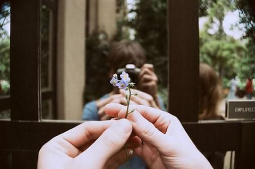 肖颖李昀小说 肖颖李昀免费全文阅读